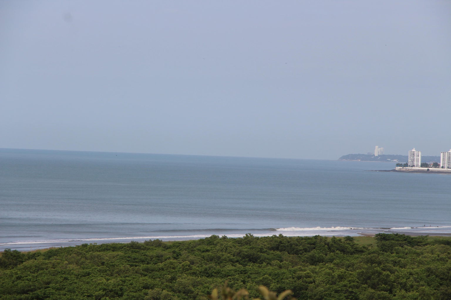 Commercial Property for Sale in Panama City Panamá Province